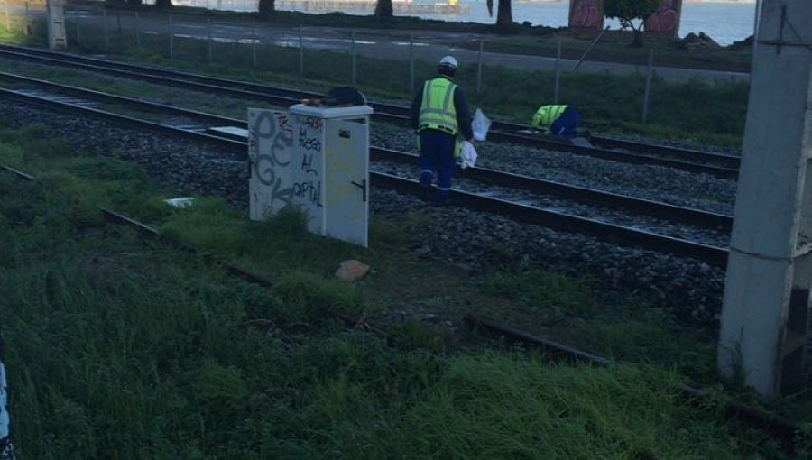 Metro Valparaíso reanuda servicio entre Miramar y Valparaíso