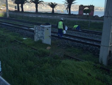 Metro Valparaíso reanuda servicio entre Miramar y Valparaíso