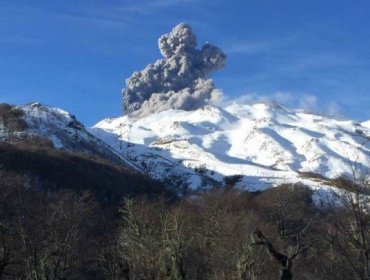 Volcán Nevados de Chillán presenta pulso eruptivo