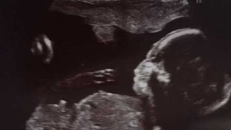 Faloon Larraguibel confirma embarazo de su segundo hijo