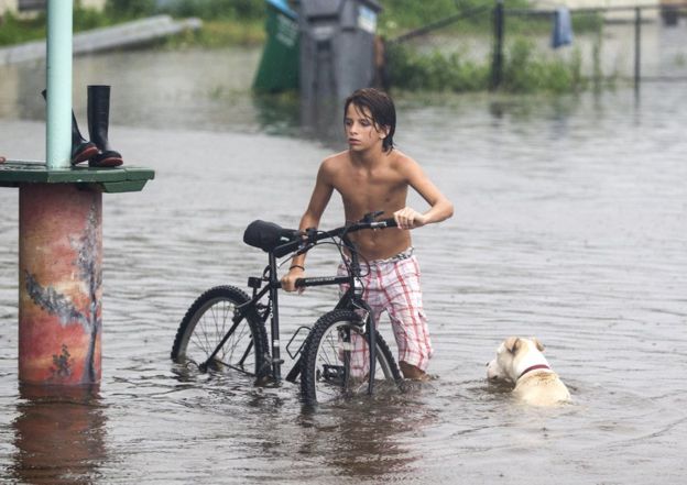 Los destrozos de Hermine, el huracán que puso fin a 10 años sin grandes ciclones en Florida