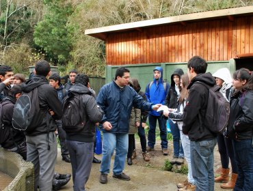 Apoderada indignada golpeó a Jefe de UTP y rompió escritorio de director de liceo