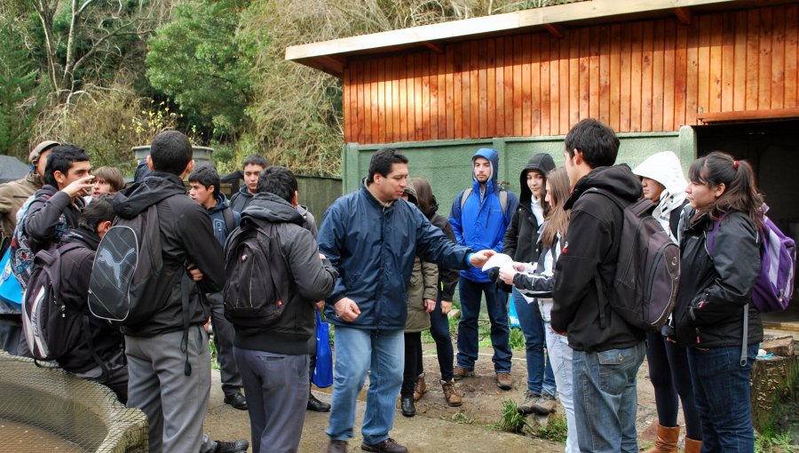 Apoderada indignada golpeó a Jefe de UTP y rompió escritorio de director de liceo