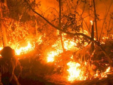 Alerta Roja en la V región por Incendio Forestal en Valparaíso