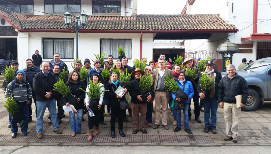 CORMA regaló 180 mil árboles a vecinos y comunidades del Biobío