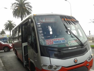 En Quilpué y Villa Alemana habilitarán servicios express de buses por Troncal Sur