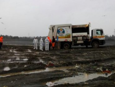 Puerto Montt: Hombre que dormía en container de basura muere triturado por camión