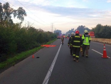 Temuco: En plena ruta conductor impacta cuerpo de joven que fue atropellado múltiples veces