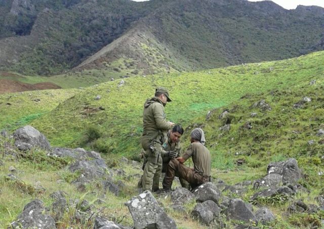 Buscador de tesoro perdido en Isla Juan Fernández es encontrado con vida