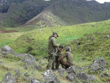 Buscador de tesoro perdido en Isla Juan Fernández es encontrado con vida