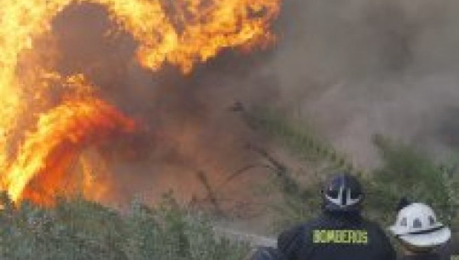 Alerta Roja en Llay Llay: Incendio forestal consume más de 13 hectáreas