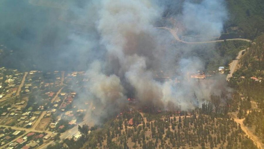 Alerta Roja en Valparaíso por incendio forestal en Laguna Verde