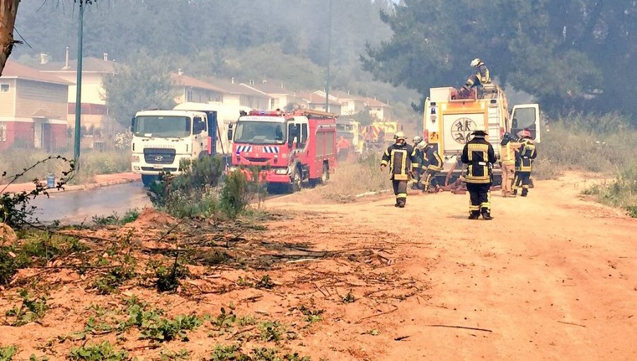 Quinta Región en llamas: 4 siniestros forestales activos en Valparaíso, Villa Alemana y Quillota