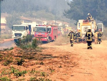 Quinta Región en llamas: 4 siniestros forestales activos en Valparaíso, Villa Alemana y Quillota