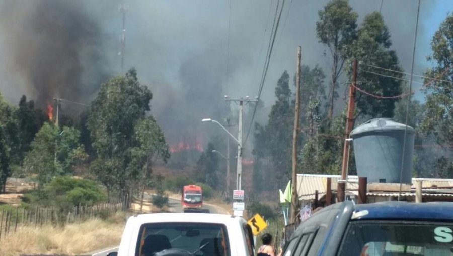 Nueva Alerta Roja en V Región: Incendios en Valparaíso, Viña del Mar y Con Con