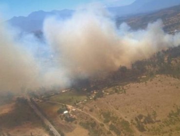 Alerta Roja en la V Región: Con Con, Limache y Valparaíso rodeado de incendios forestales