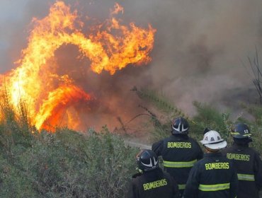 Mantienen Alerta Roja en Valparaíso por Incendios Forestales