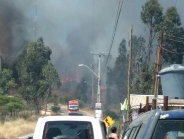 Nueva Alerta Roja en V Región: Incendios en Valparaíso, Viña del Mar y Con Con