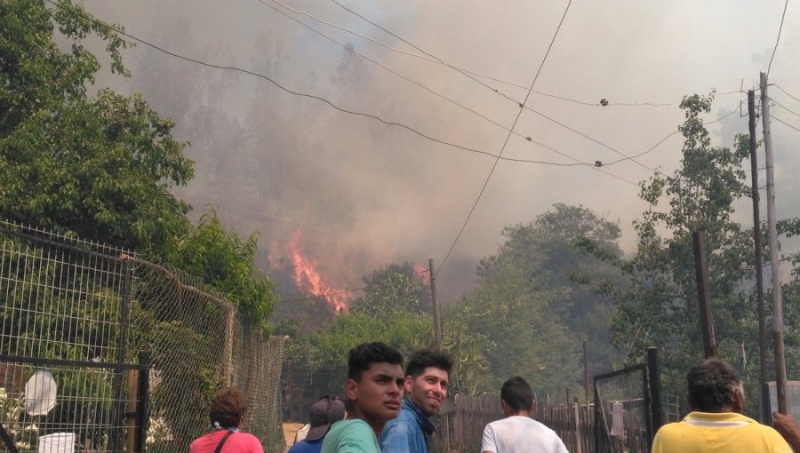 Más de 850 hectáreas arrasadas por el fuego en solo un día tras ola de calor