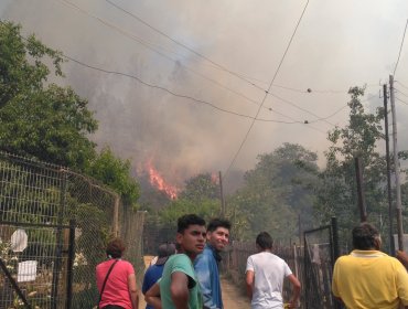 Más de 850 hectáreas arrasadas por el fuego en solo un día tras ola de calor