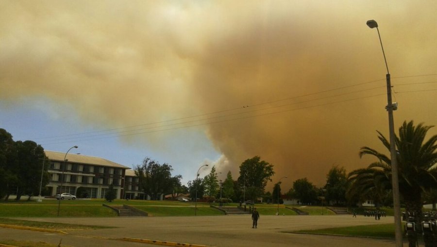 Bomberos trabaja intensamente en incendio forestal de Rinconada de Maipú