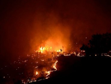 Incendios Forestales en zona centro: Onemi informa de 19 focos activos