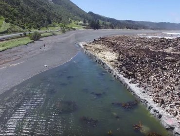 El lecho marino queda a la vista tras el terremoto de 7,8 en Nueva Zelanda