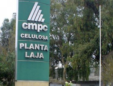 Trabajador muere tras caer desde 15 metros de altura en Planta de CMPC