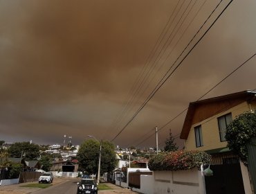 Gigantesca nube de humo cubre Santo Domingo y Llolleo por incendio en Bucalemu