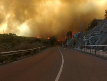 Ultimo Balance Incendio: Sobre 140 viviendas arrasadas y 19 personas lesionadas