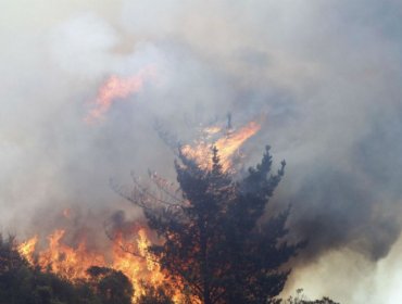 Por qué el humo de los incendios es un riesgo para la salud