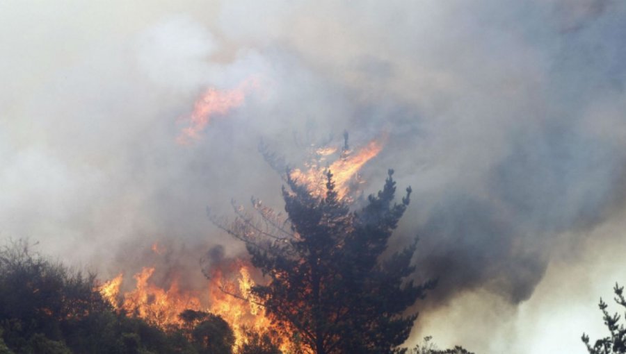 Por qué el humo de los incendios es un riesgo para la salud