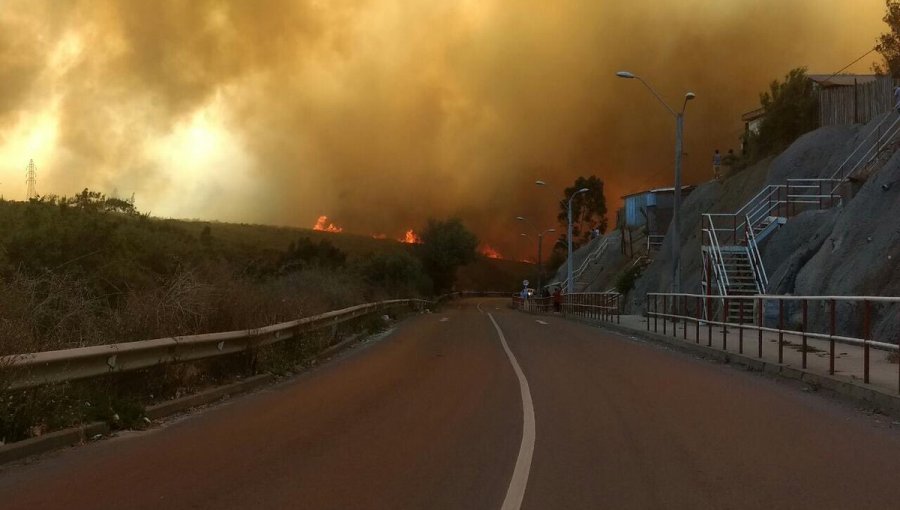 Ultimo Balance Incendio: Sobre 140 viviendas arrasadas y 19 personas lesionadas