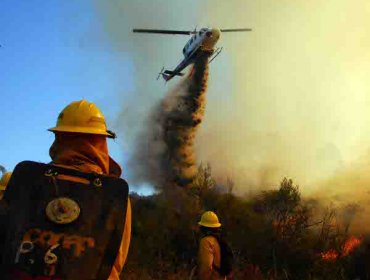 Alerta Roja por Incendios en Valparaíso y Región Metropolitana: 13 focos activos