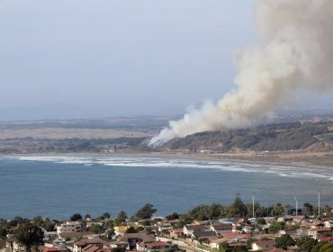 Feroz choque en ruta a Quintero provoca incendio forestal a la altura de Ritoque