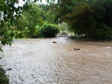 Más de 100 personas evacuadas tras desborde de Río Blanco en Puerto Octay