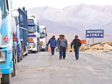 Bolivia prohíbe ingreso de aves vivas desde cualquier punto de Chile