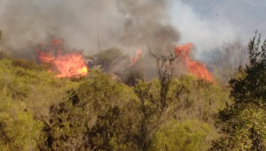 Quilpué con Alerta Roja tras siniestro forestal que consume varias hectáreas