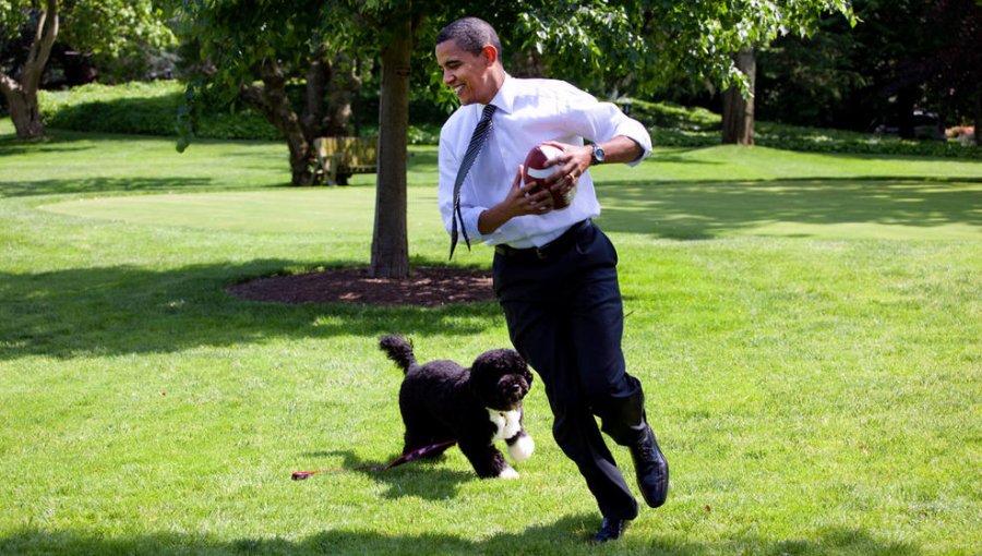 Las fotos inolvidables del Gobierno de Obama: A pocos días del fin de su mandato