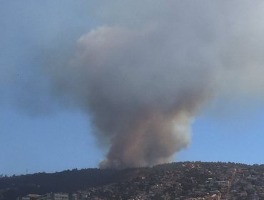 Nuevo incendio forestal en sector camino La Pólvora en Valparaíso