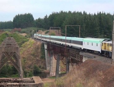 Aviso de bomba obliga evacuar tren que viajaba de Santiago a Temuco