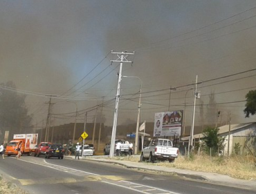 Alerta Roja en Chillán por incendio forestal de gran magnitud