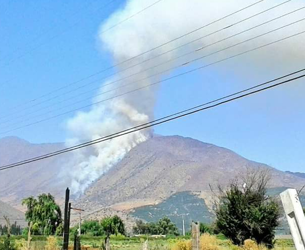 Gran despliegue de operativos por incendio forestal en Llay Llay