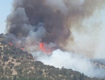 Alerta Roja en Pirque por Incendio forestal de grandes proporciones