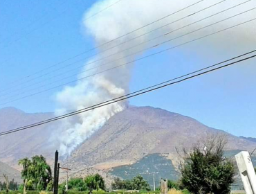 Gran despliegue de operativos por incendio forestal en Llay Llay