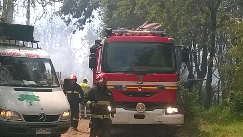 Intendencia Metropolitana anuncia que incendio forestal en Pirque está controlado