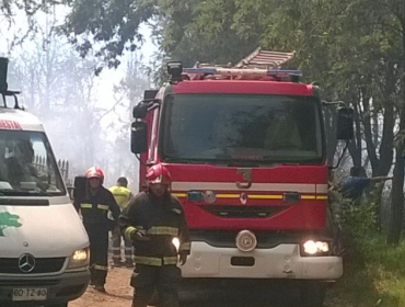 Intendencia Metropolitana anuncia que incendio forestal en Pirque está controlado