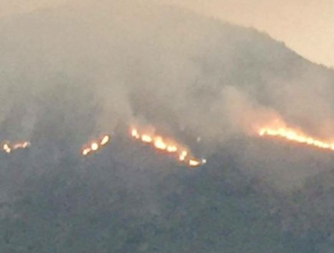 Alerta Roja: Incendio forestal sacude a comunas de Hijuelas y Llay Llay