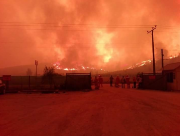 Incendio Forestal en Pumanque: Twitteros reclaman poca cobertura por parte de los medios