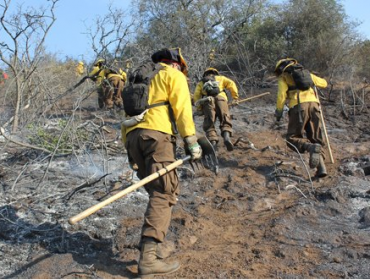 Balance Conaf: Se combaten 18 incendios de gran magnitud y 47 mil hectáreas consumidas